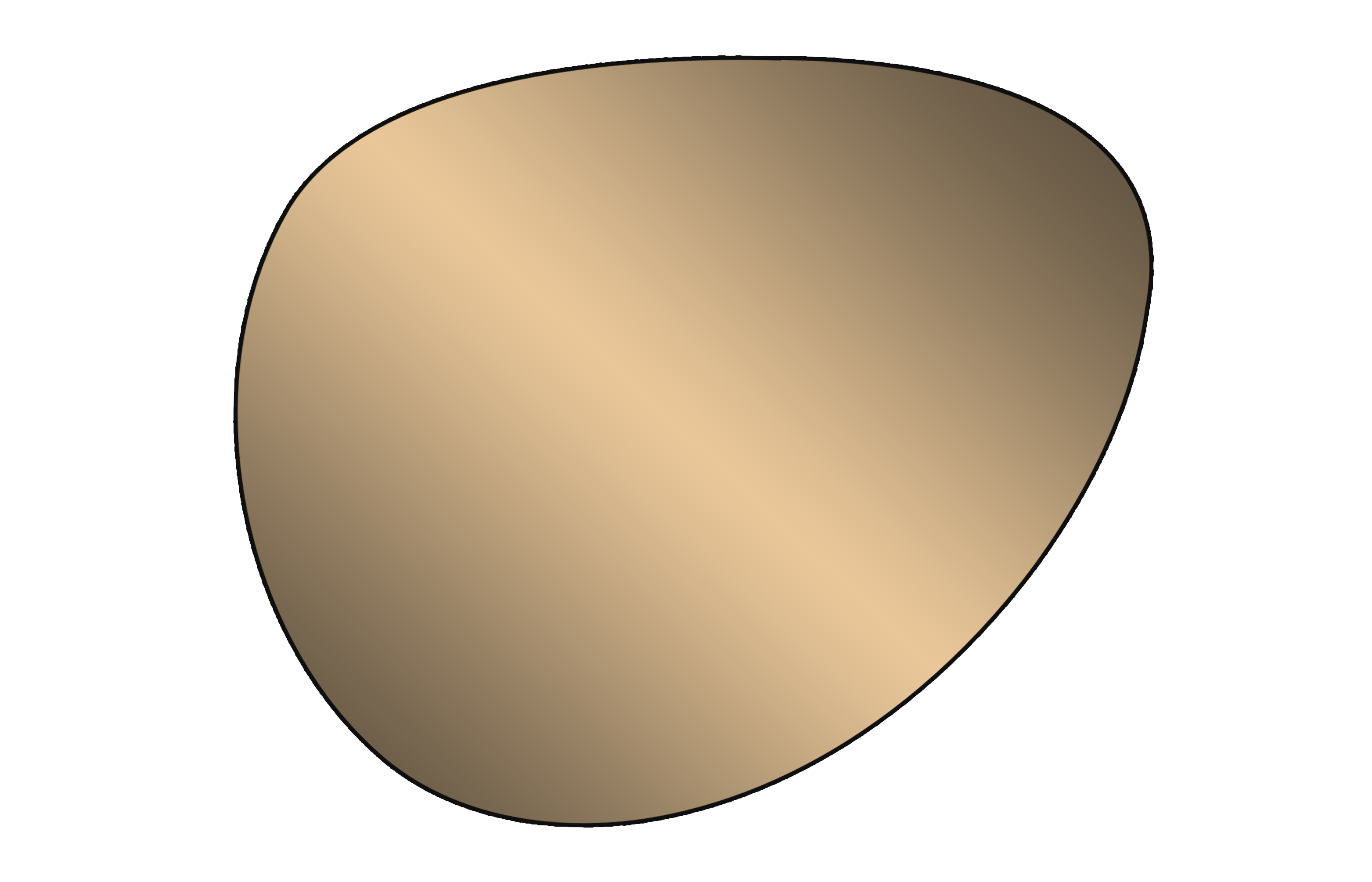 Progressieve gepolariseerde spiegellens