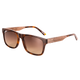 Brown Gradient Polarized