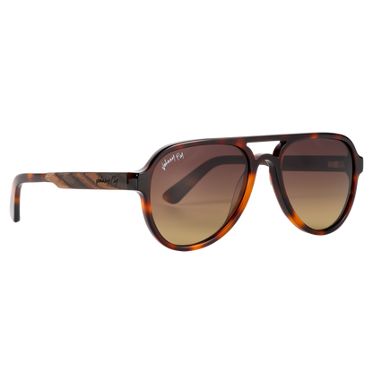 Apache • Classic Tortoise