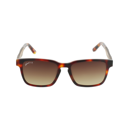 BRANCH - Classic Tortoise - Sunglasses - Johnny Fly Eyewear | #color_classic-tortoise