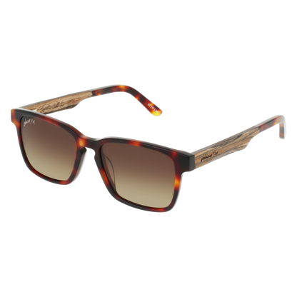 BRANCH - Classic Tortoise - Sunglasses - Johnny Fly Eyewear | #color_classic-tortoise