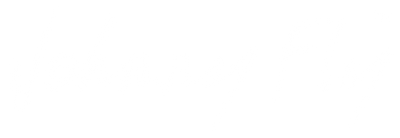 Johnny Fly