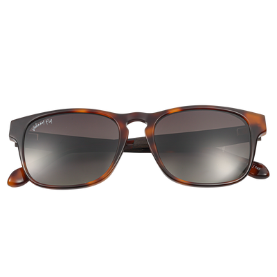 Splinter • Classic Tortoise