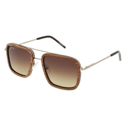 LAFORGE Sunglasses Frame - Brushed Gold- Johnny Fly | LAF-BGLD-POL-BGR | | #color_brushed-gold