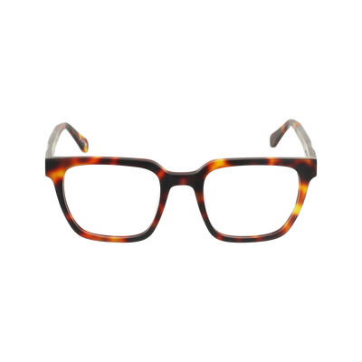 LONGITUDE Eyeglasses Frame - Matte Classic Tortoise- Johnny Fly | LNG-MTRT-FRAME-CL8036 | | #color_matte-classic-tortoise