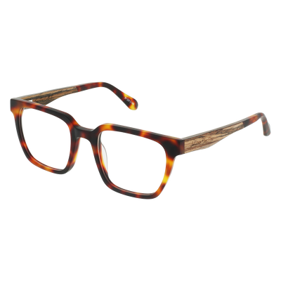 LONGITUDE Eyeglasses Frame - Matte Classic Tortoise- Johnny Fly | LNG-MTRT-FRAME-CL8036 | | #color_matte-classic-tortoise