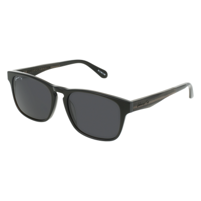 SPLINTER Sunglasses Frame - Golden Onyx- Johnny Fly | SPL-10YR-POL-SMK | | #color_golden-onyx