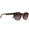 Flight - Johnny Fly - Classic Tortoise - Brown Gradient Polarized - Sunglasses | #color_classic-tortoise